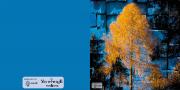 CreativeTree